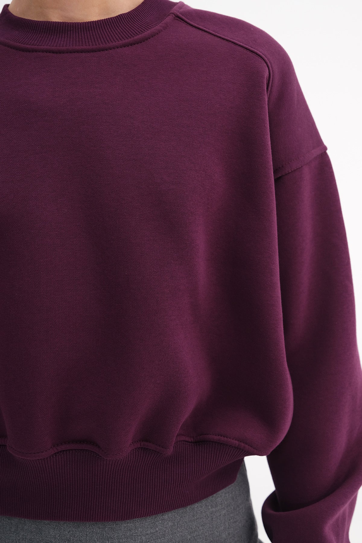 Brushed Crew Neck Basic Sweatshirt - Image 5